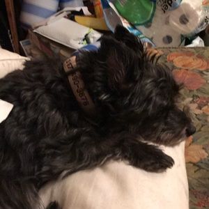 Meet your Posher, Cathy jill